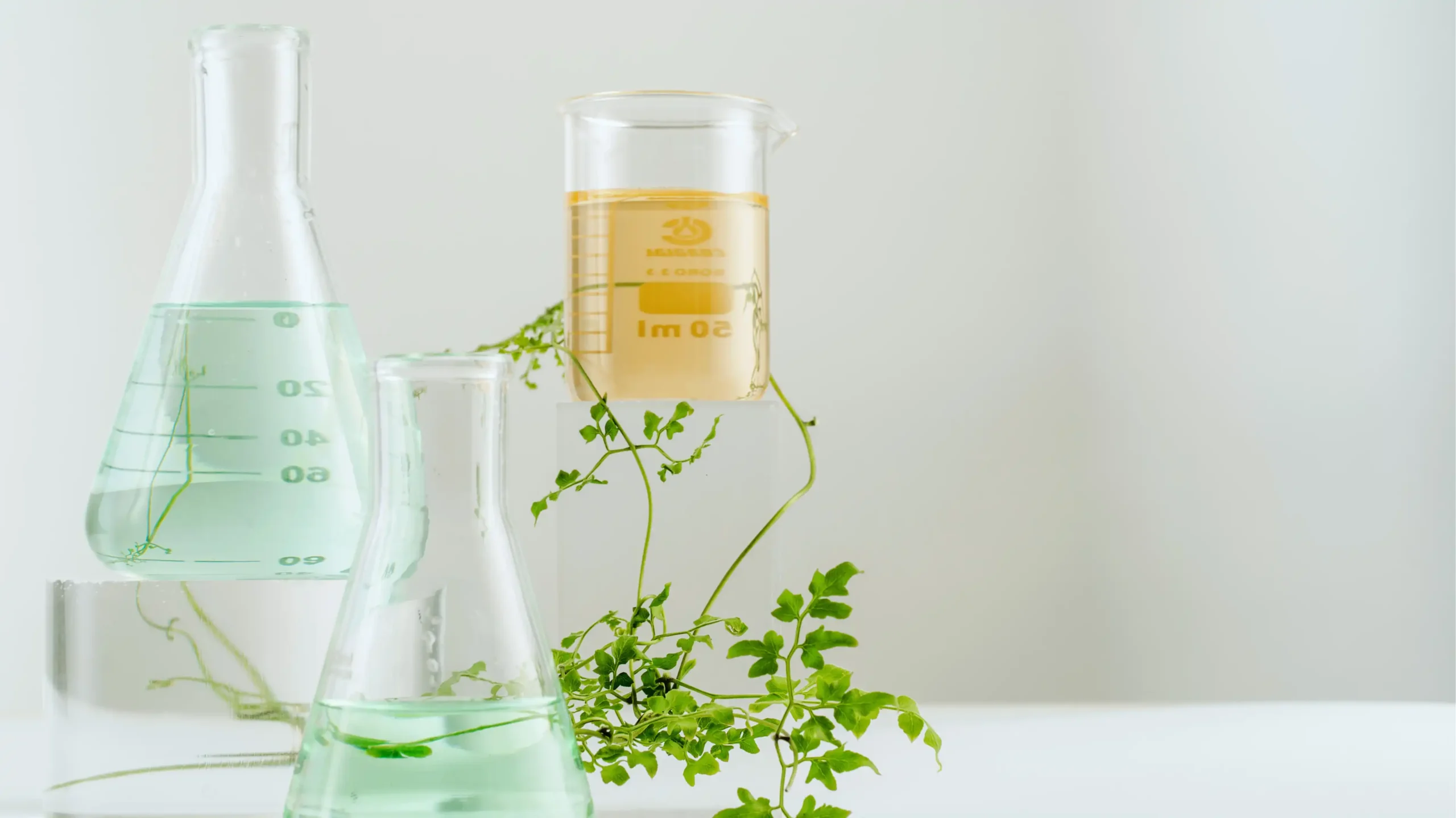 scientific measuring glasses