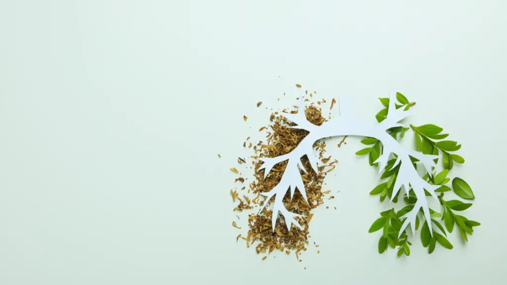 impression of lungs with dried and fresh leaves