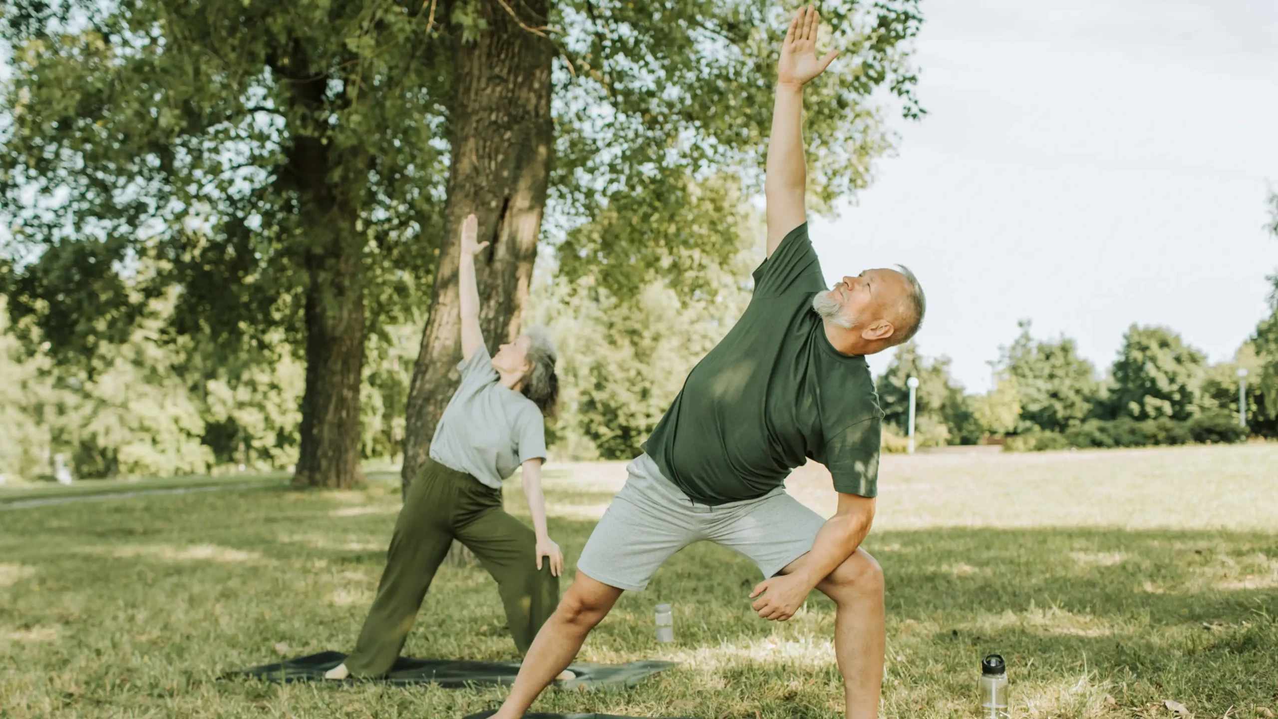 partiqlar - Elderly people doing yoga in a park