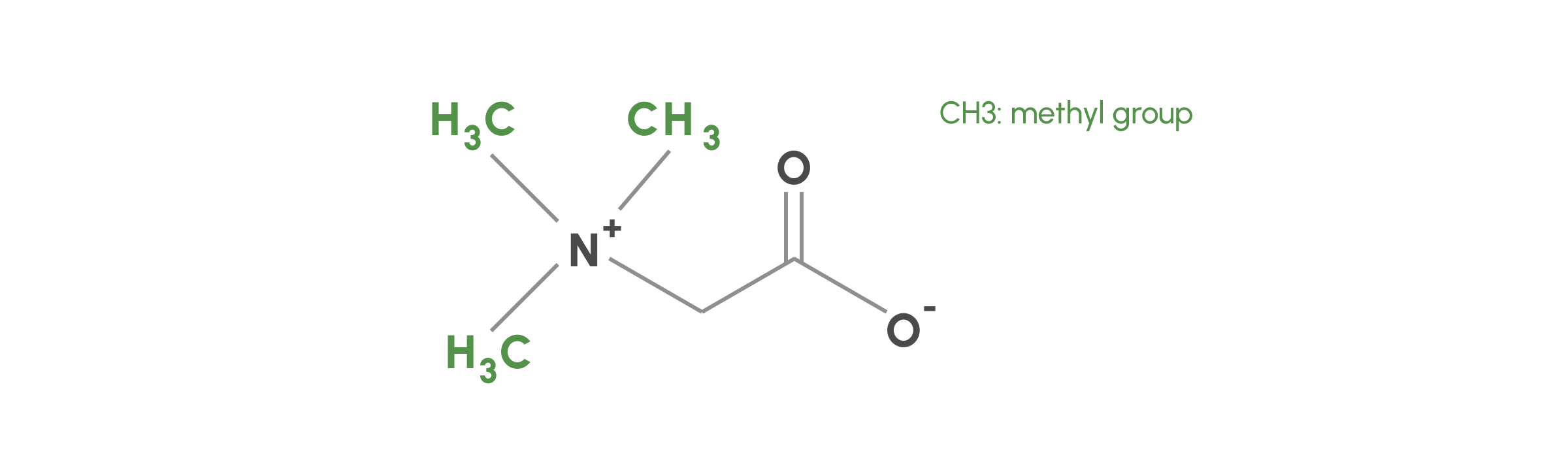 tmg molecule