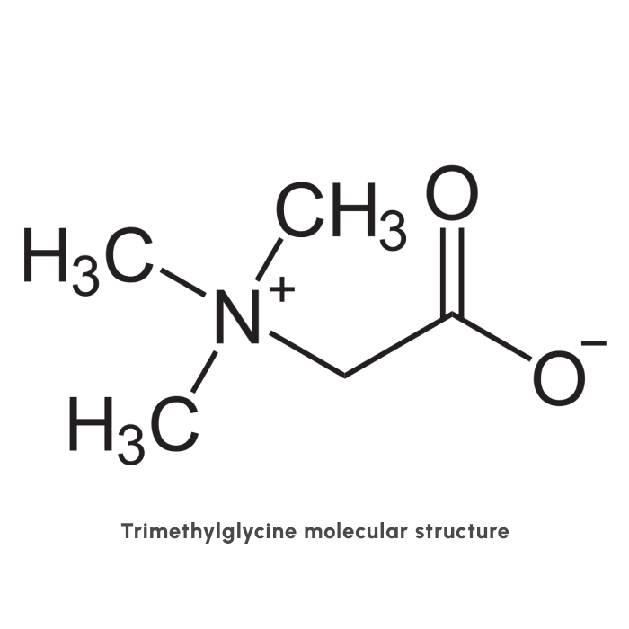 TMG molecule