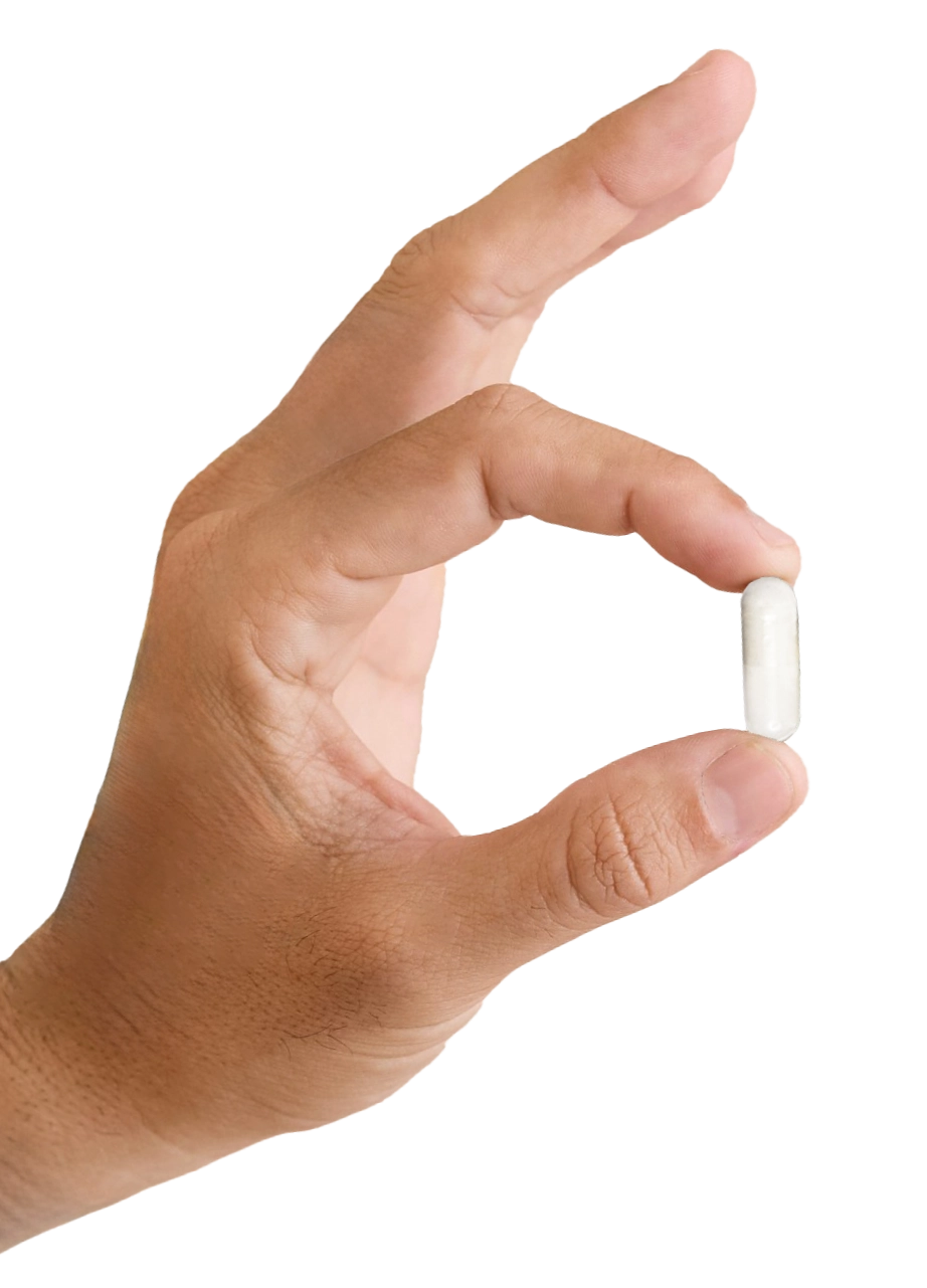 Best NAD+ Supplement