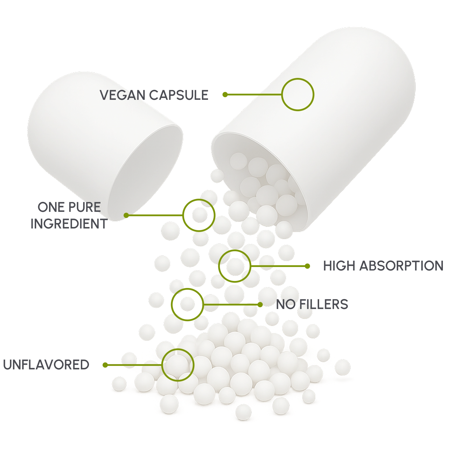 Best NAD+ Supplement